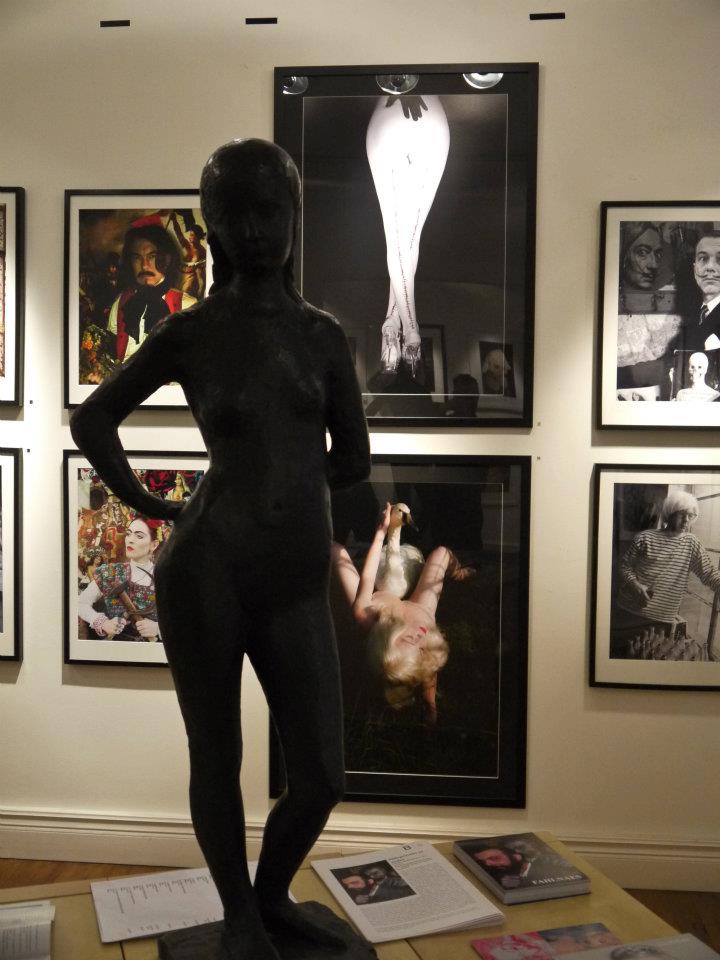 Stolen  leda and the swan